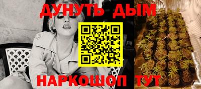 гидра Волгодонск