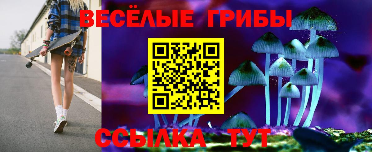 Фролово  Галлюциногенные грибы мухоморы  Вход с VPN 