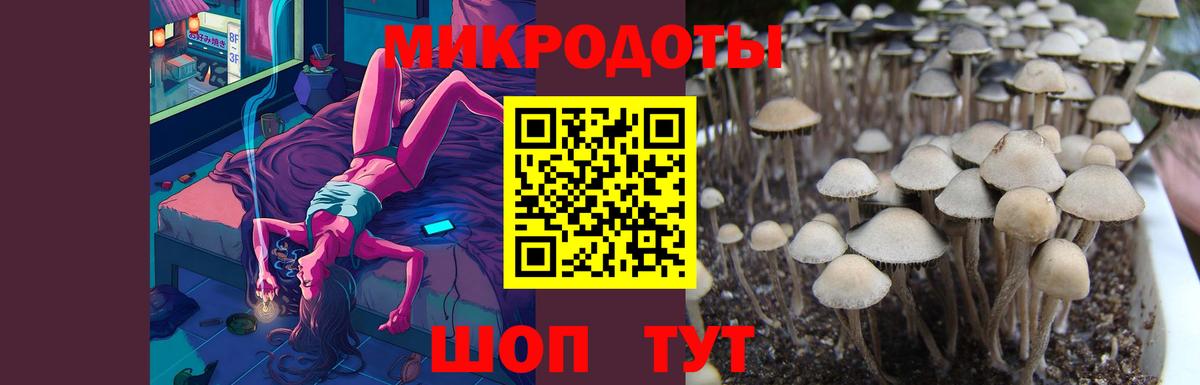 Псилоцибиновые грибы Psilocybe Фролово